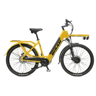 Felicity Bisan Electric Bicycle 1x7 Gears