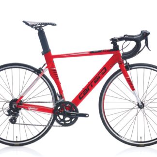 RACE 012 28" 14-V CB Carraro Yol Bisikleti